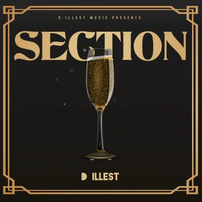 Section (Radio Edit) [Radio Edit] - Single