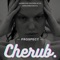 Prospect - Cherub Connections lyrics