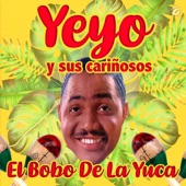 El Bobo de la Yuca artwork