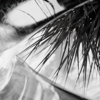 Urchin - Single - Exact Dub