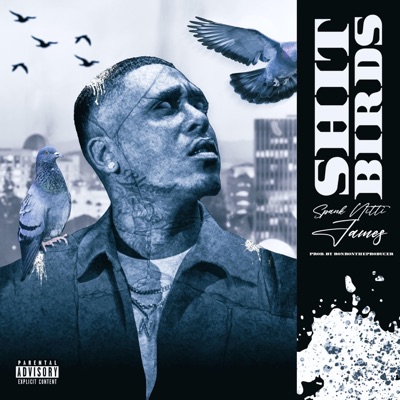 Shit Birds - Single