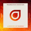 Nobody But You (Ariel & Danilo vs. Mateusz Remix)