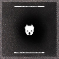 Perro Potencialmente Peligroso - PERROPELIGRO