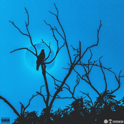 Ancient Mystic vol.1 - EP