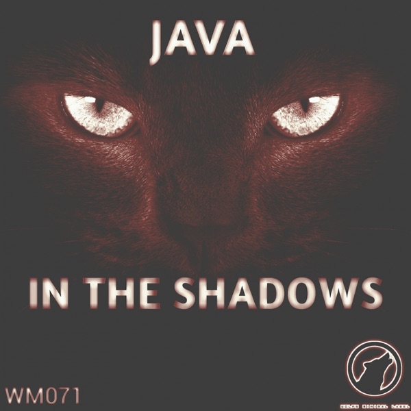 In the Shadows