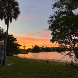 Between the lines (feat. Ito) Dwagin