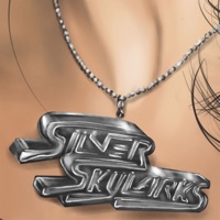 Number One Set and Sound (feat. Large Professor) - Single - Silver Skylarks