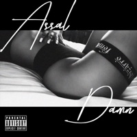 Damn - Single - Assal Cobra
