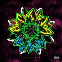 Letra Suculenta (feat. Tribal, AcrosWanteD, Dany Zam, Lokorey & Tagtro) - Single - Bajo Terrenal