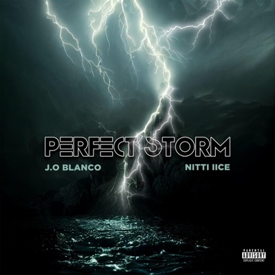 Perfect Storm - Single