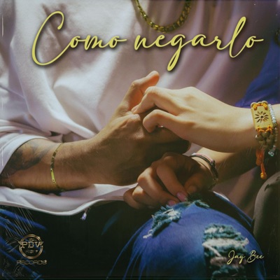 Como Negarlo (feat. JAY BEE) - Single