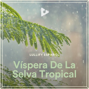 Víspera De La Selva Tropical