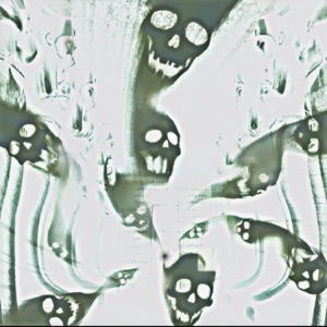 Skull Krush - Single