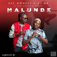 Malunde (feat. TumiSA & Fiso EL Musica) - Single - DE Monkey & DJ MK