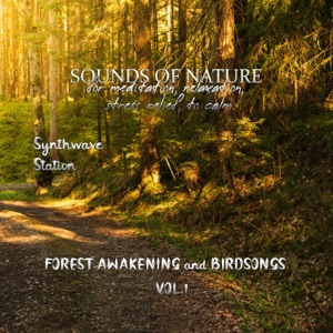Sounds of Nature - Forest Awakening and Birdsongs for Meditaion, Relaxation, Stress Relief, to Calm Vol.1
