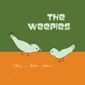World Spins Madly On by The Weepies