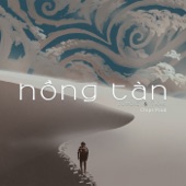 Hồng Tàn (Chips Prod Remix) artwork