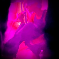 Snitch! - Single - Leovisa