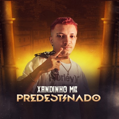 Predestinado (Remix) - Single