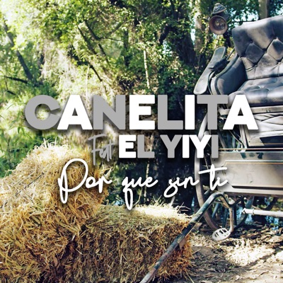 Porque Sin Ti (feat. El Yiyi) - Single