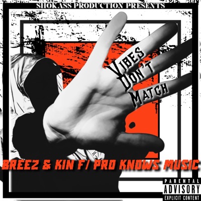 Vibes Dont Match (feat. K.I.N. & Pro Knows Music) - Single