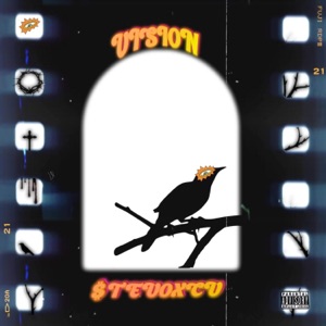 Vision - Single