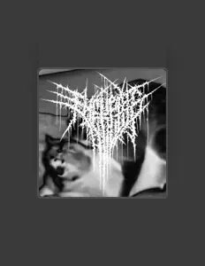 Escucha a Fuck Cats, mira videos musicales, lee su biografía, consulta las fechas de las gira y más.