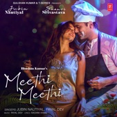 Meethi Meethi artwork