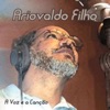 A Voz e a Canção