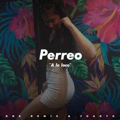 Perreo a Lo Loco - Single