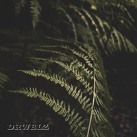 Ham Balls and Splendor - Single - drwblz