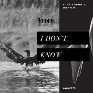 I Don't Know - Single