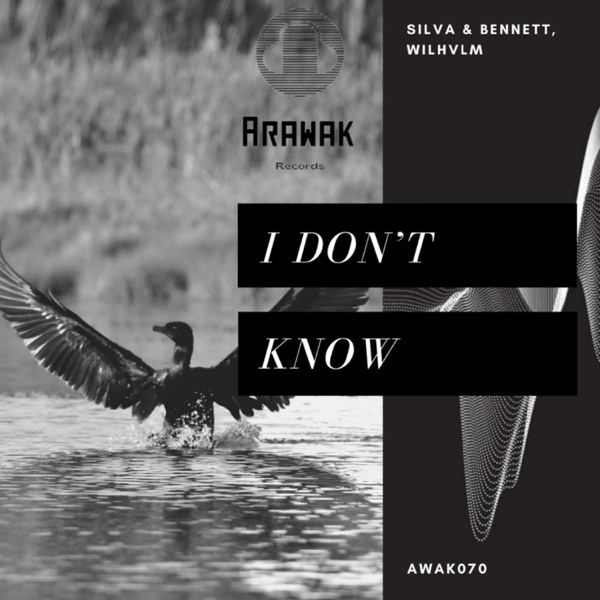 I Don't Know - Single