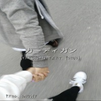 Cardigan* (feat. 1gnis) - Single - $at.urn