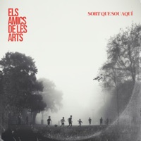 Sort Que Sou Aquí - Single - Els Amics De Les Arts