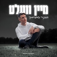 מיין וועלט - Single - Mendy Twerski