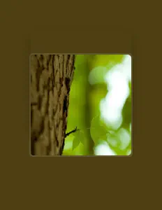 Escucha a Aula cold, mira vídeos musicales, lee la biografía, consulta fechas de giras y mucho más.
