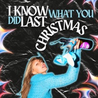 I Know What You Did Last Christmas - Single - Holiday Sidewinder