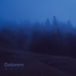 Dolorem