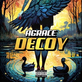 Decoy Agrace