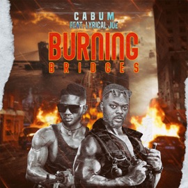 Burning Bridges (feat. Lyrical Joe) Cabum