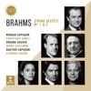 Marie Chilemme String Sextet No. 1 in B-Flat Major, Op. 18: I. Allegro ma non troppo Brahms: String Sextets (Live from Aix Easter Festival 2016)