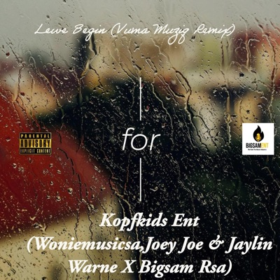 Lewe Begin (feat. Vuma musiq, Bigsam rsa, Jaylin Warne, Joe rsa & Woniemusicsa) [Summer version] - Single