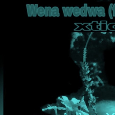 Wena wedwa (feat. Stweezy) - Single