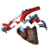 No Love - Single - Marie Madeleine & Lothar