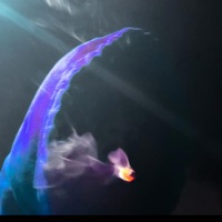 Bustdown (feat. MikeMike8403 & Coolynn) - Single - Izzyfromthe4