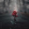 Empath - Victoriya lyrics
