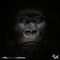 Gorilla. (feat. Sean C Johnson) - Cash Hollistah lyrics