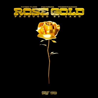 Rose Gold (feat. Trizzzycainexo) - Single