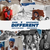 Different (feat. Xnoe X Akataboyz) - Single - Xnoe